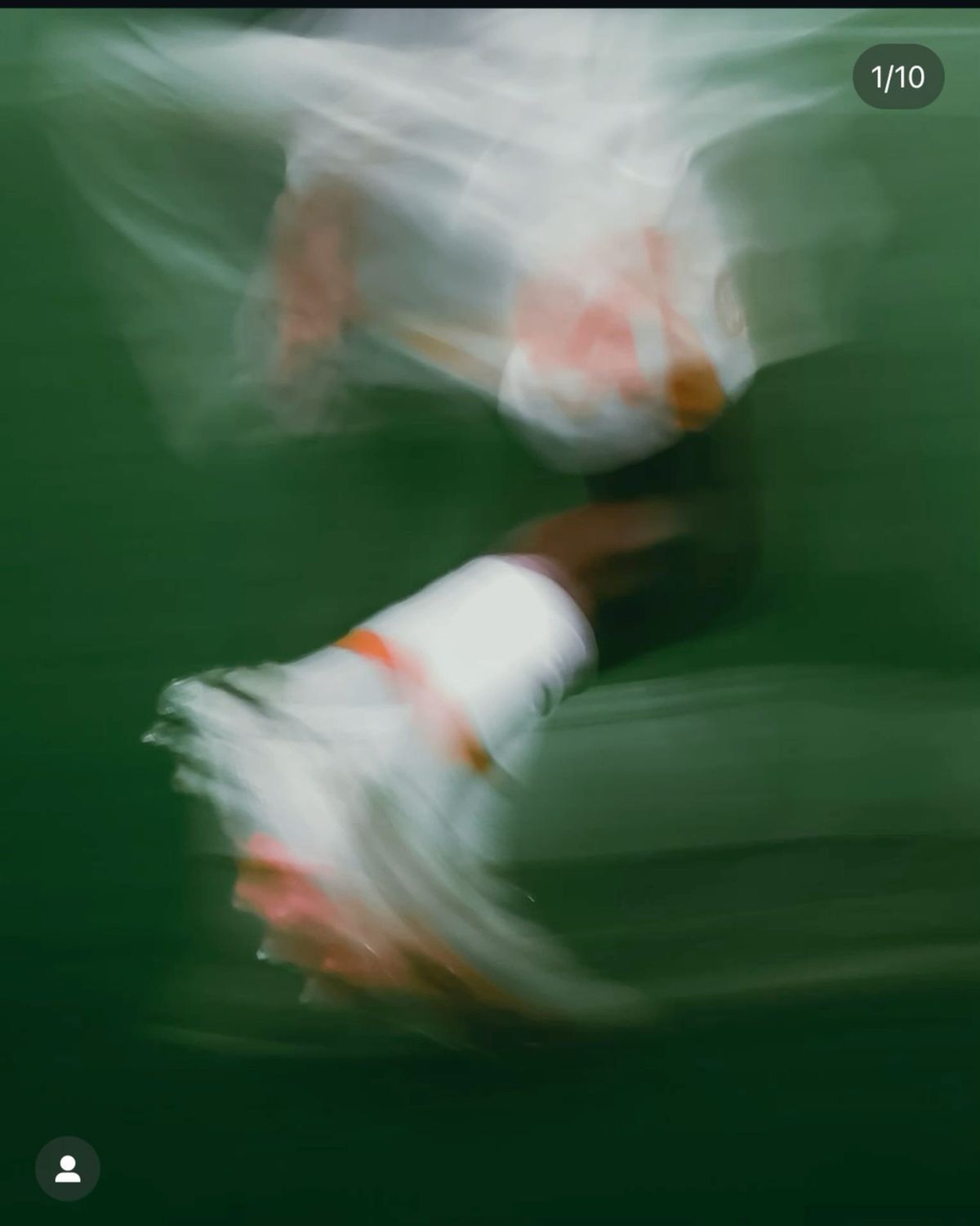 skipped field session (feb 5th)