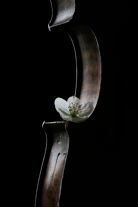 upper pull