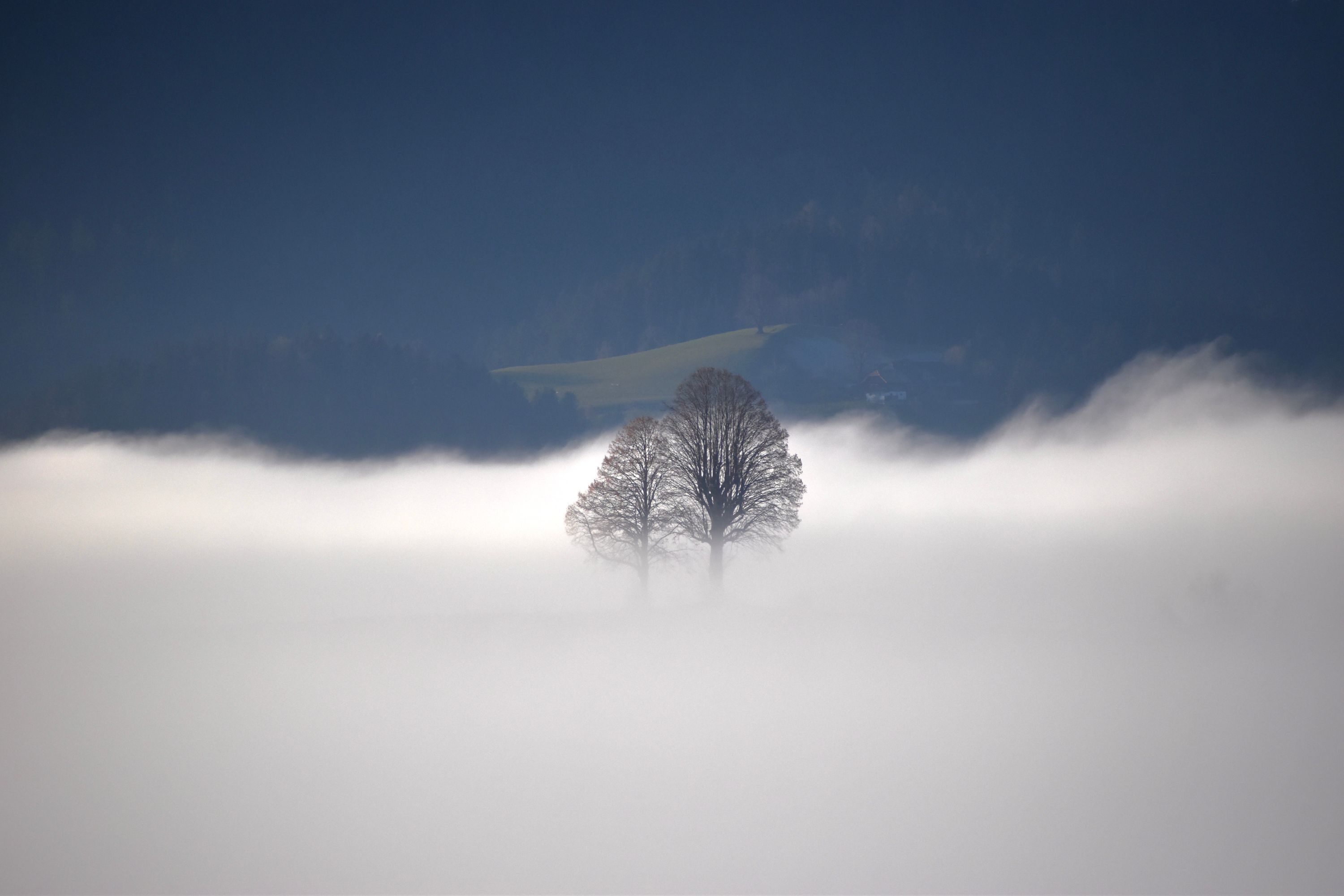 Luca Bigler