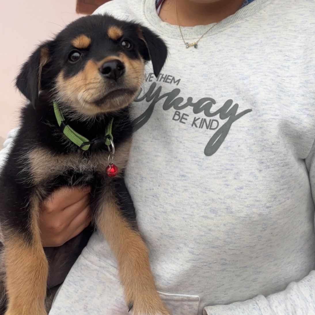 Pragati Poonia